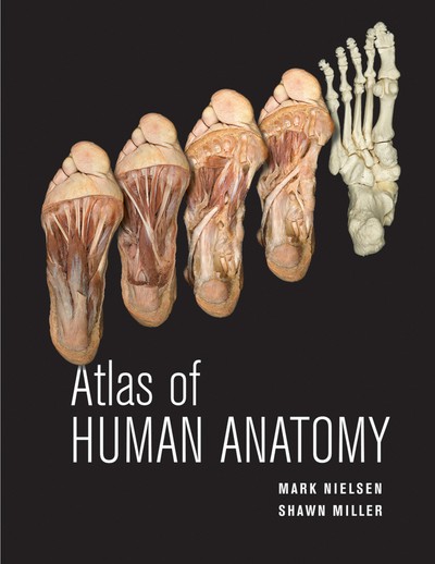 Journal of Prosthodontics